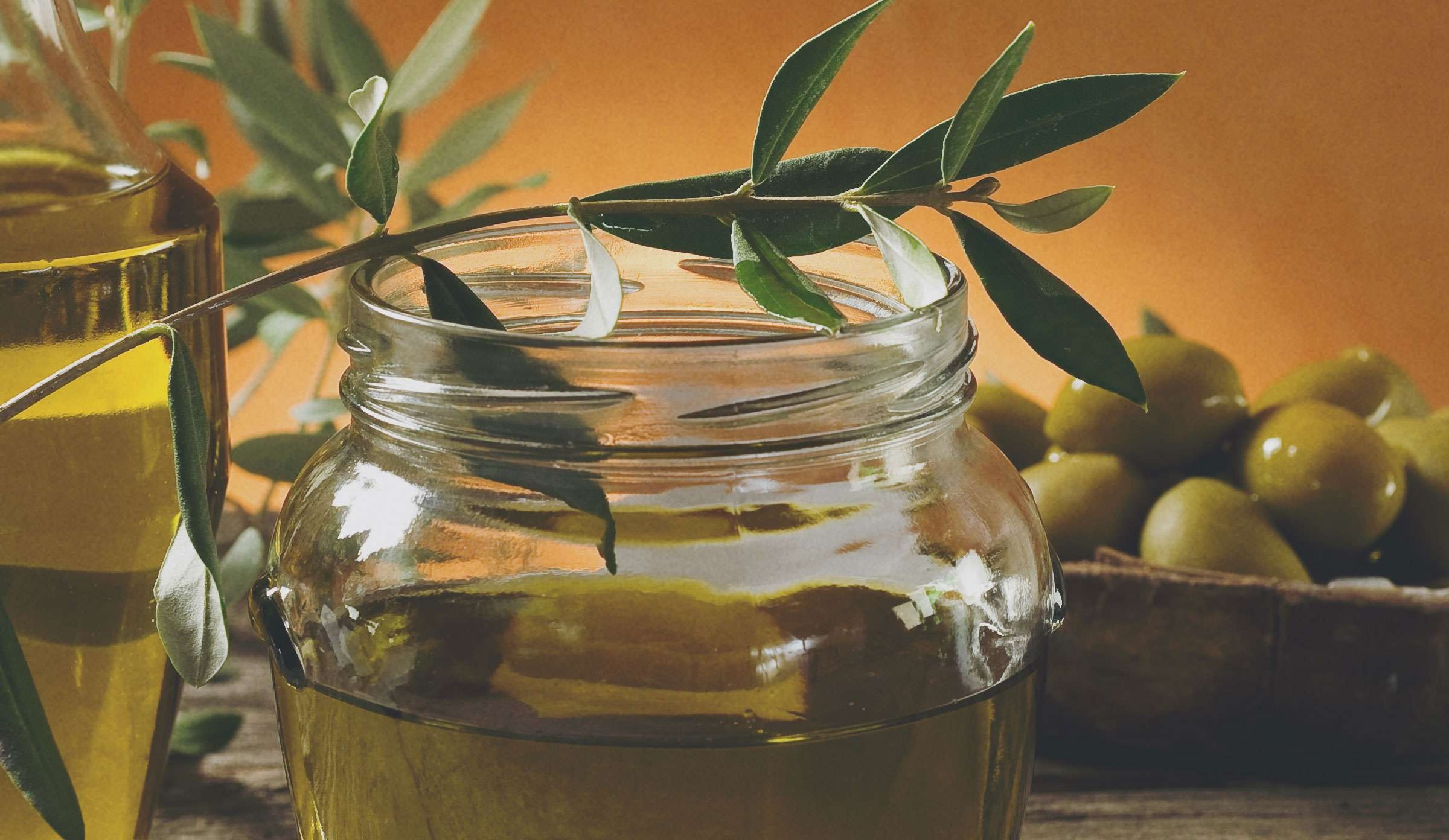 Terra Olivo παρθένο ελαιόλαδο Κορώνης Μεσσηνίας